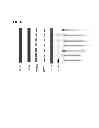 Fig. 07 - Tumor Suppressor Gene, p28ING5