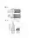 Fig. 09 - Tumor Suppressor Gene, p28ING5