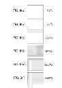 Fig. 09 - Semiconductor device and method of manufacturing the semiconductor device