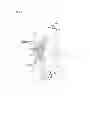 Fig. 02 - Exhaust structure of outboard motor
