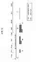 Fig. 07 - User apparatus and method in mobile communication system