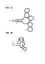 Fig. 09 - Therapeutic agent for pulmonary emphysema