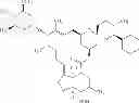 Fig. 06 - Method of treating otitis externa using macrocyclic lactone compound