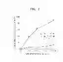 Fig. 07 - COMPOSITION FOR PREVENTING, IMPROVING, OR TREATING RENAL DISEASE INCLUDING MAILLARD BROWNING REACTION PRODUCTS OF PANAX SPECIES PLANT EXTRACT