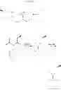 Fig. 20 - Benzopyran compounds, compositions and uses thereof