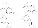 Fig. 197 - Pyridazine amide compounds useful as SYK inhibitors
