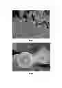 Fig. 02 - FILLERS FOR DENTAL COMPOSITES