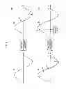 Fig. 02 - DEVICE, METHOD, AND PROGRAM FOR ESTIMATING BIORHYTHM