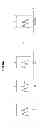 Fig. 07 - DEVICE, METHOD, AND PROGRAM FOR ESTIMATING BIORHYTHM