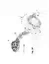 Fig. 07 - MASSAGE APPARATUS FOR JETTED SPAS