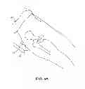 Fig. 06 - Alignment plate apparatus and method of use