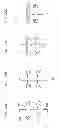 Fig. 43 - Instrument and methods for surgically closing percutaneous punctures