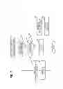 Fig. 08 - Drive force output apparatus for vehicle