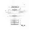 Fig. 06 - Online Address Book System and Method