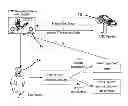 Fig. 01 - Transaction Verification on RFID Enabled Payment and Transaction Instruments