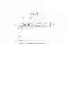 Fig. 16 - Mobile terminal and control method thereof