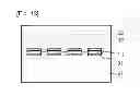 Fig. 08 - Transducer and method for manufacturing same