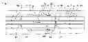 Fig. 01 - DRILL PIPE