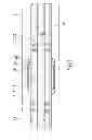 Fig. 06 - DRILL PIPE