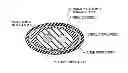 Fig. 01 - Parallel foamed coaxial cable