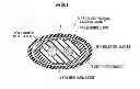 Fig. 02 - Parallel foamed coaxial cable