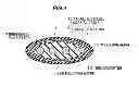 Fig. 10 - Parallel foamed coaxial cable