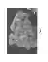 Fig. 07 - Composites comprising clustered reinforcing agents, methods of production, and methods of use