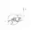 Fig. 08 - Strainer for pump