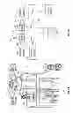 Fig. 04 - Flexible filter device for capturing of particles or cells in a fluid