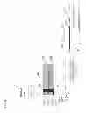 Fig. 02 - Capillary ion chromatography