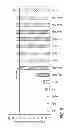 Fig. 08 - Transparent photocatalyst coating