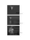 Fig. 02 - Chemical removal of surface defects from grain oriented electrical steel