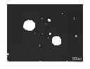 Fig. 01 - Iron-based soft magnetic powder and production method thereof