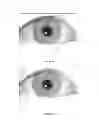 Fig. 06 - IRIS DATA EXTRACTION
