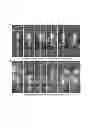 Fig. 03 - Optical trapping apparatus, methods and applications using photonic crystal resonators