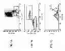 Fig. 02 - Method and kit for detection of autoimmune chronic urticaria