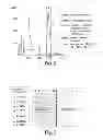 Fig. 06 - Methods and compositions for cell-proliferation-related disorders