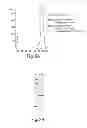 Fig. 07 - Methods and compositions for cell-proliferation-related disorders