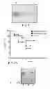 Fig. 02 - Method for treating systemic DNA mutation disease