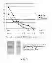Fig. 02 - Method for treating systemic bacterial, fungal and protozoan infection