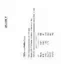 Fig. 06 - Targeted identification of immunogenic peptides
