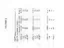 Fig. 07 - Targeted identification of immunogenic peptides