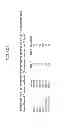 Fig. 09 - Targeted identification of immunogenic peptides