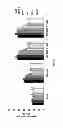 Fig. 22 - Anti-CD19 antibody having ADCC function with improved glycosylation profile