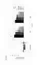 Fig. 35 - Anti-CD19 antibody having ADCC function with improved glycosylation profile