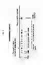 Fig. 02 - IMMUNOSUPPRESSIVE DRUG COMBINATION FOR A STABLE AND LONG TERM ENGRAFTMENT