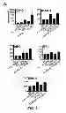 Fig. 07 - Induced activation in dendritic cells