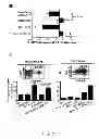 Fig. 08 - Induced activation in dendritic cells