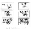 Fig. 02 - Synthetic immunogen useful for generating long lasting immunity and protection against pathogens