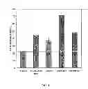 Fig. 02 - Palm fiber-based dietary supplements
